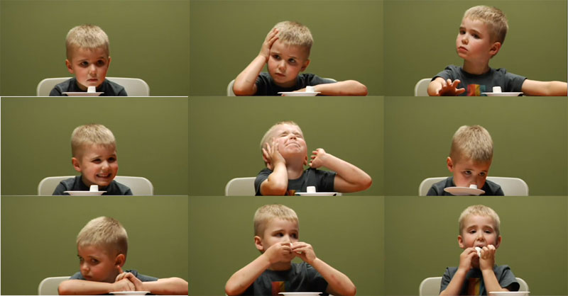 Marshmallow test of self-control