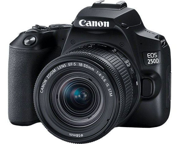 DSLR camera for taking martial arts photos