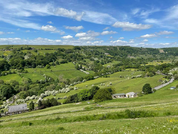View from my car while i work on my lifestyle martial arts business