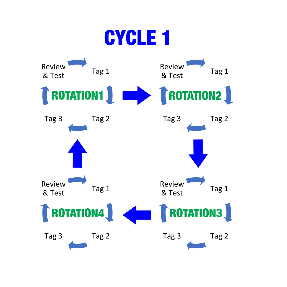 Rotating Curriculum flow diagram