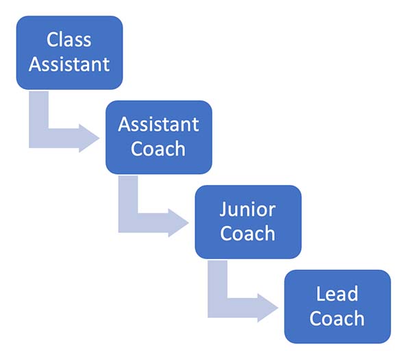 Martial Arts Coach Development Pathway